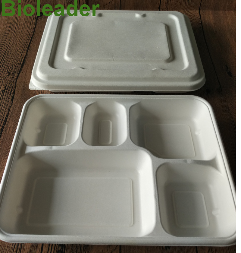 Eco Friendly Biodegradable Sugarcane Bagasse Food Container 5 Compartment Tray Lid